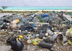 當太平洋垃圾遇上利菲爾特垃圾分選設備！