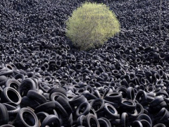 廢舊輪胎回收煉油項(xiàng)目怎么樣